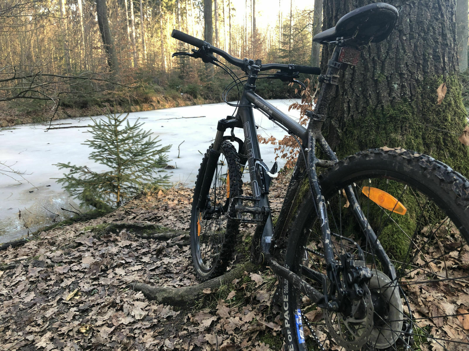 Warten auf den 1. März