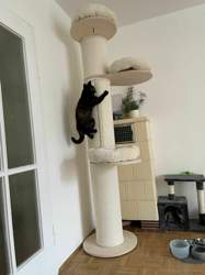 Ae07ea86-e994-48f6-89cf-1bc8b838c6e1