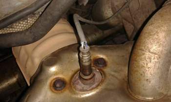 Lamdbasonde Kabel angefressen