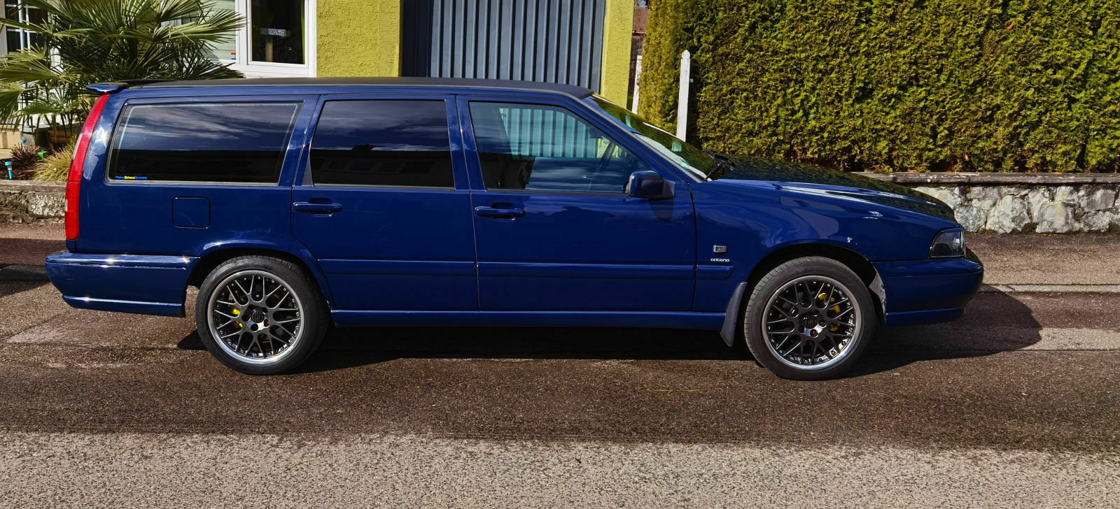 Was habt ihr eurem Elch heute Gutes getan