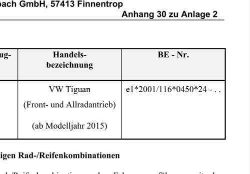 Ausschnitt Gutachten