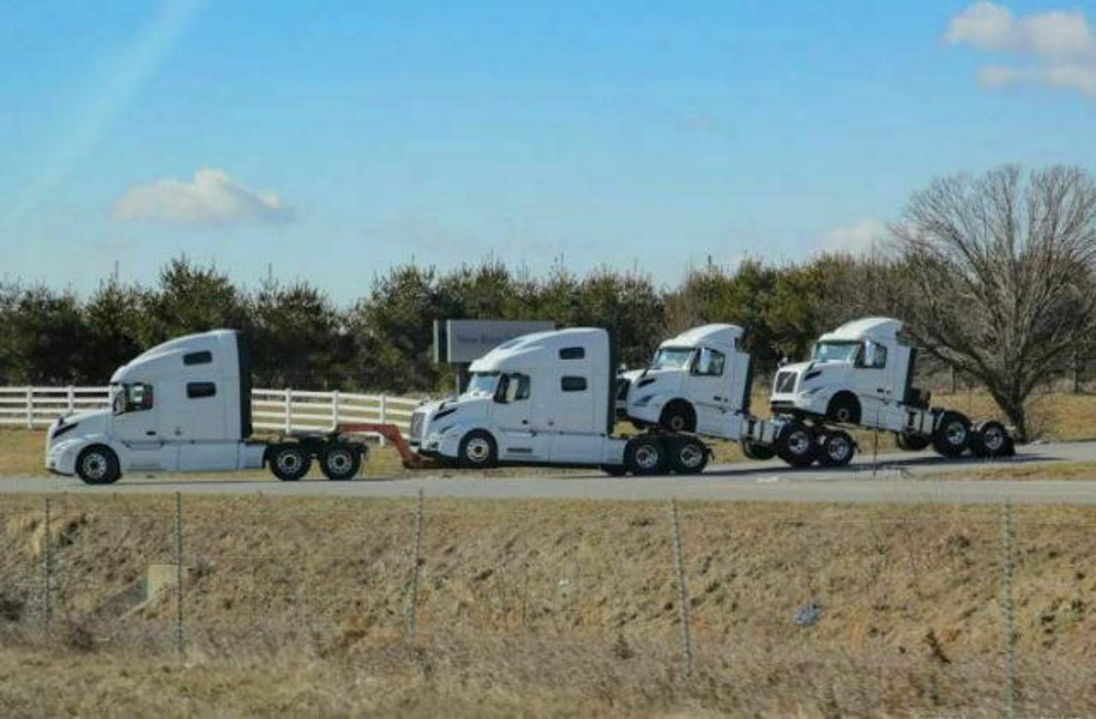 Mama Volvo and her small ones