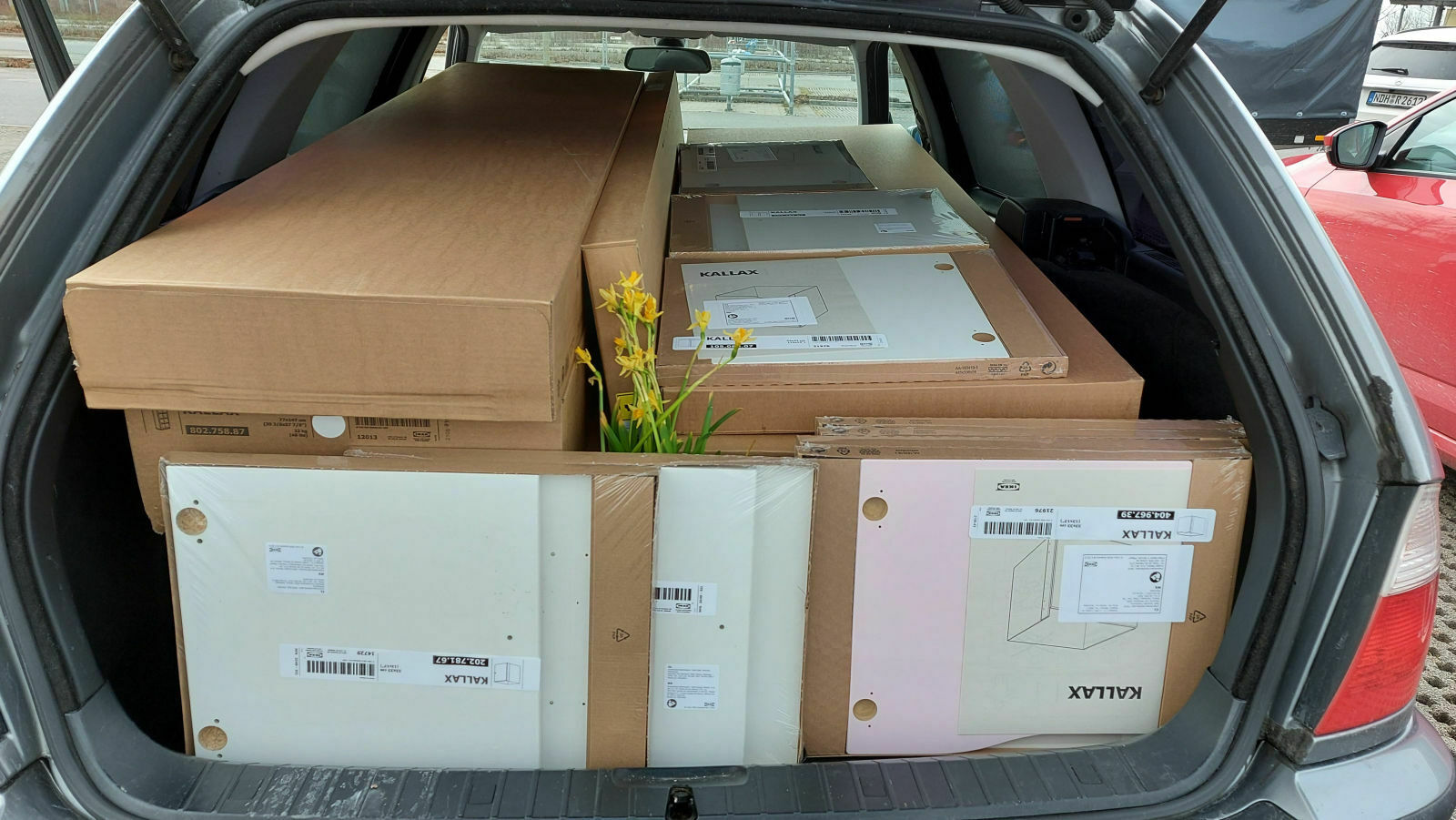 Was habt ihr heute alles für euren E46 getan?