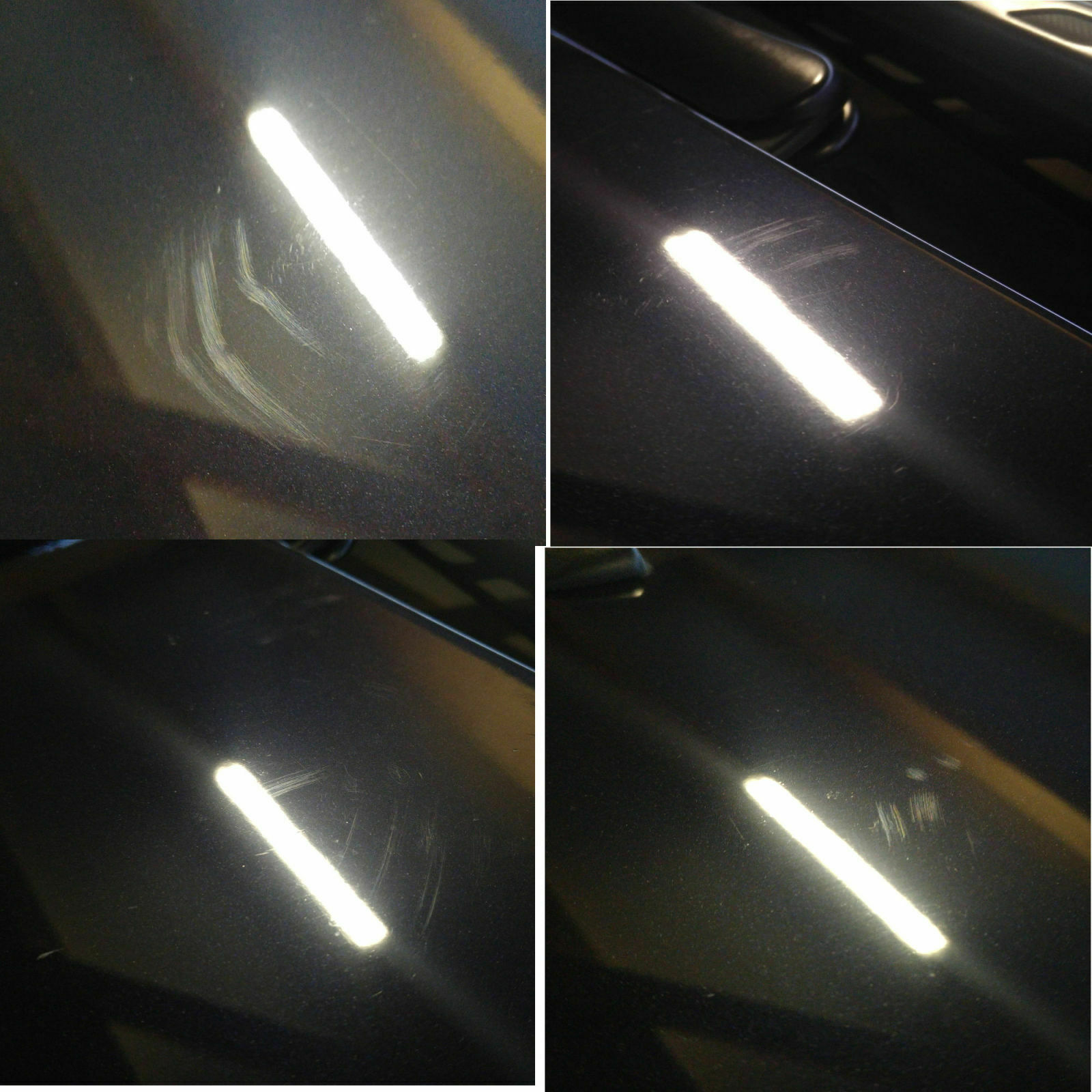 Katze auf meinem Auto