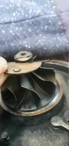 So muss die Klappe gesteckt haben.jpg