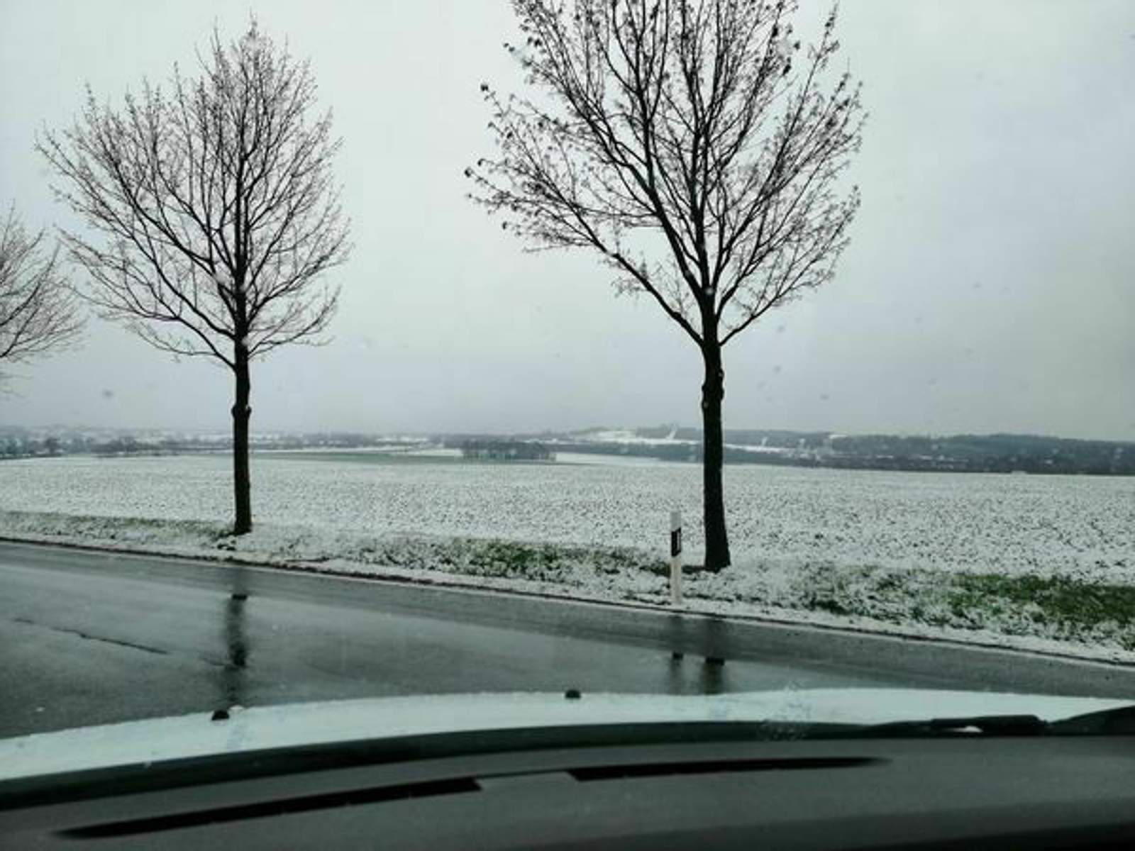 172833130-4125021570863951-3802775640228659144-n