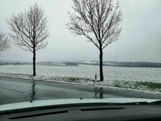 172833130-4125021570863951-3802775640228659144-n