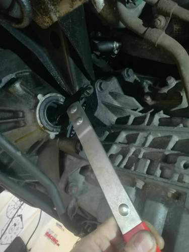 Älg Garage Bargstedt