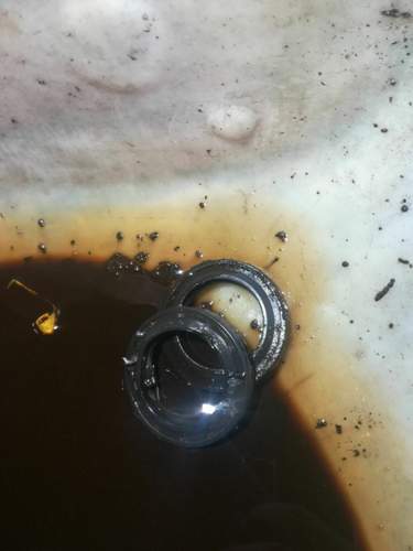 Älg Garage Bargstedt