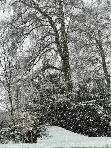 F353835b-286c-420c-98e7-1f12bdf8ca01