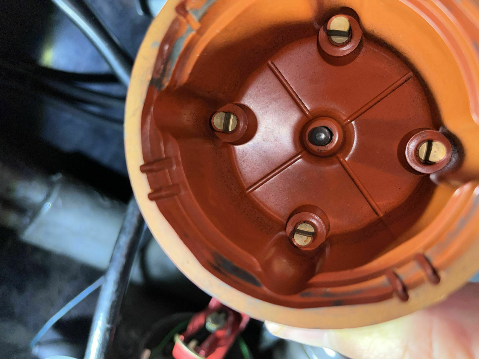 Käfer in Fahrt ausgegangen