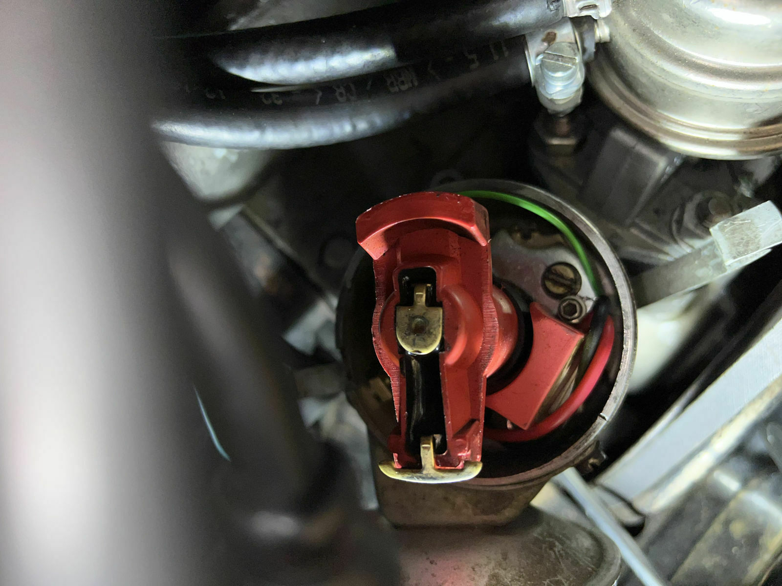 Käfer in Fahrt ausgegangen