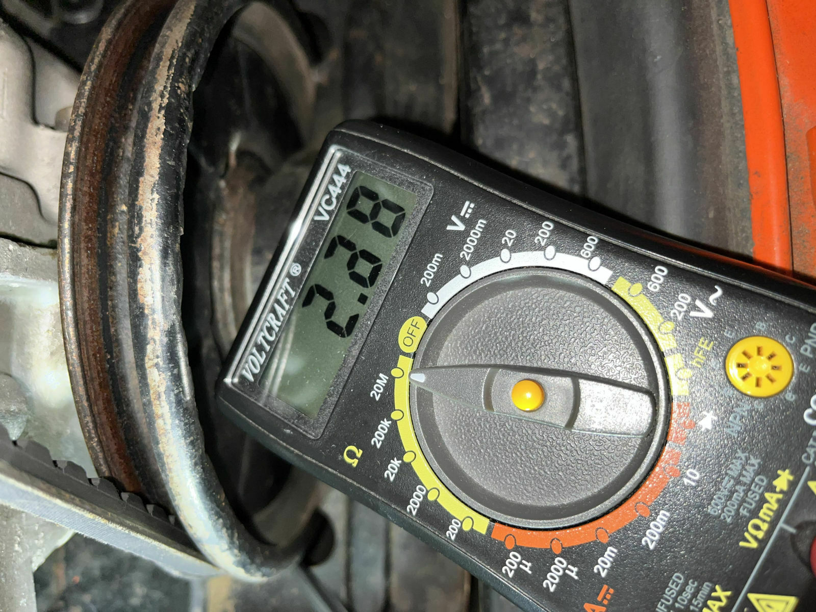 Käfer in Fahrt ausgegangen