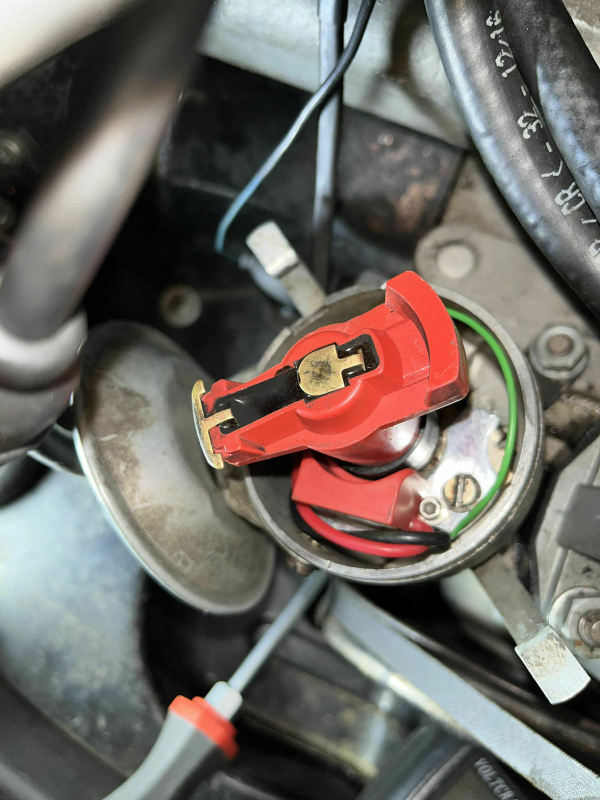 Käfer in Fahrt ausgegangen