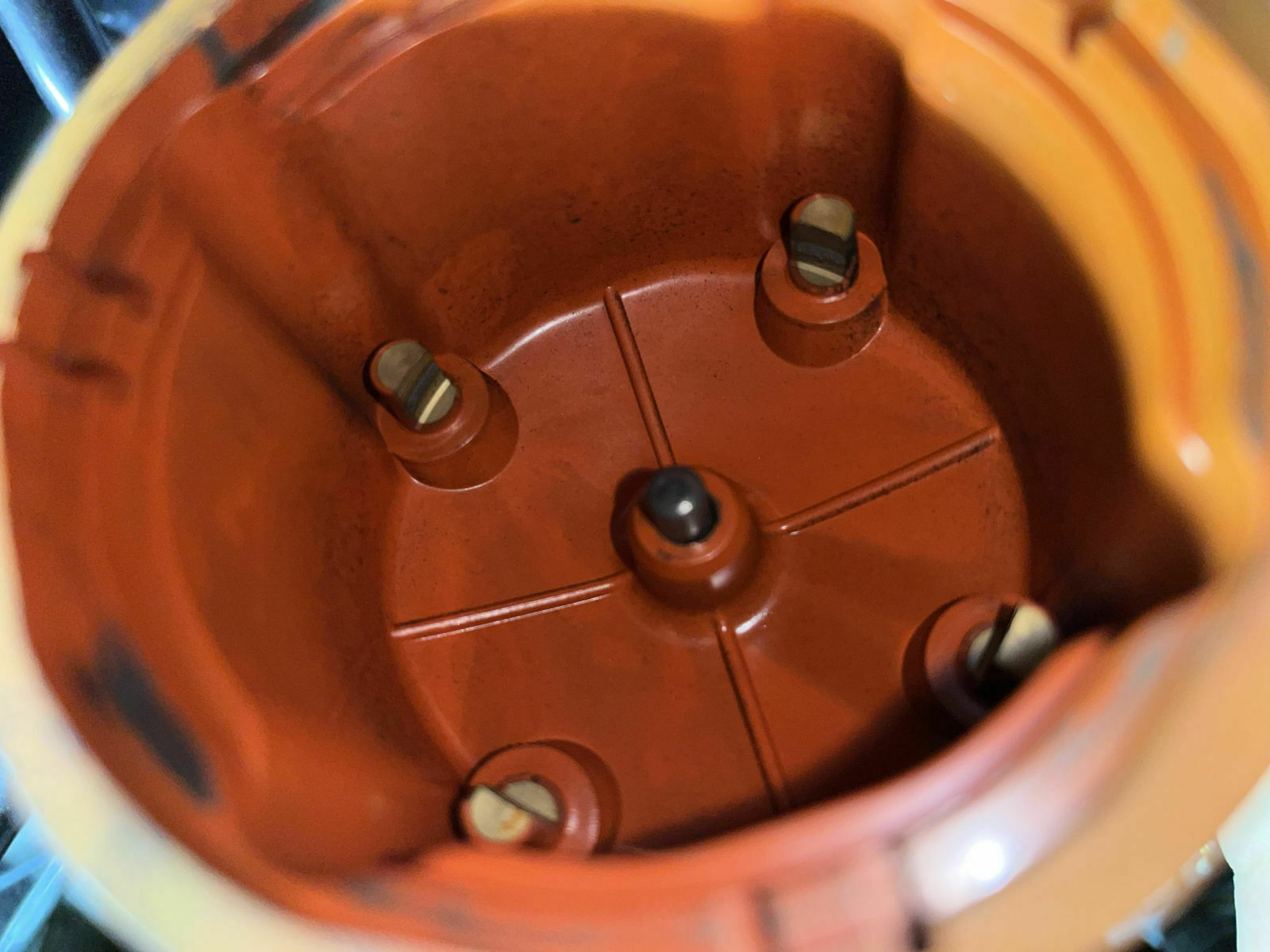 Käfer in Fahrt ausgegangen