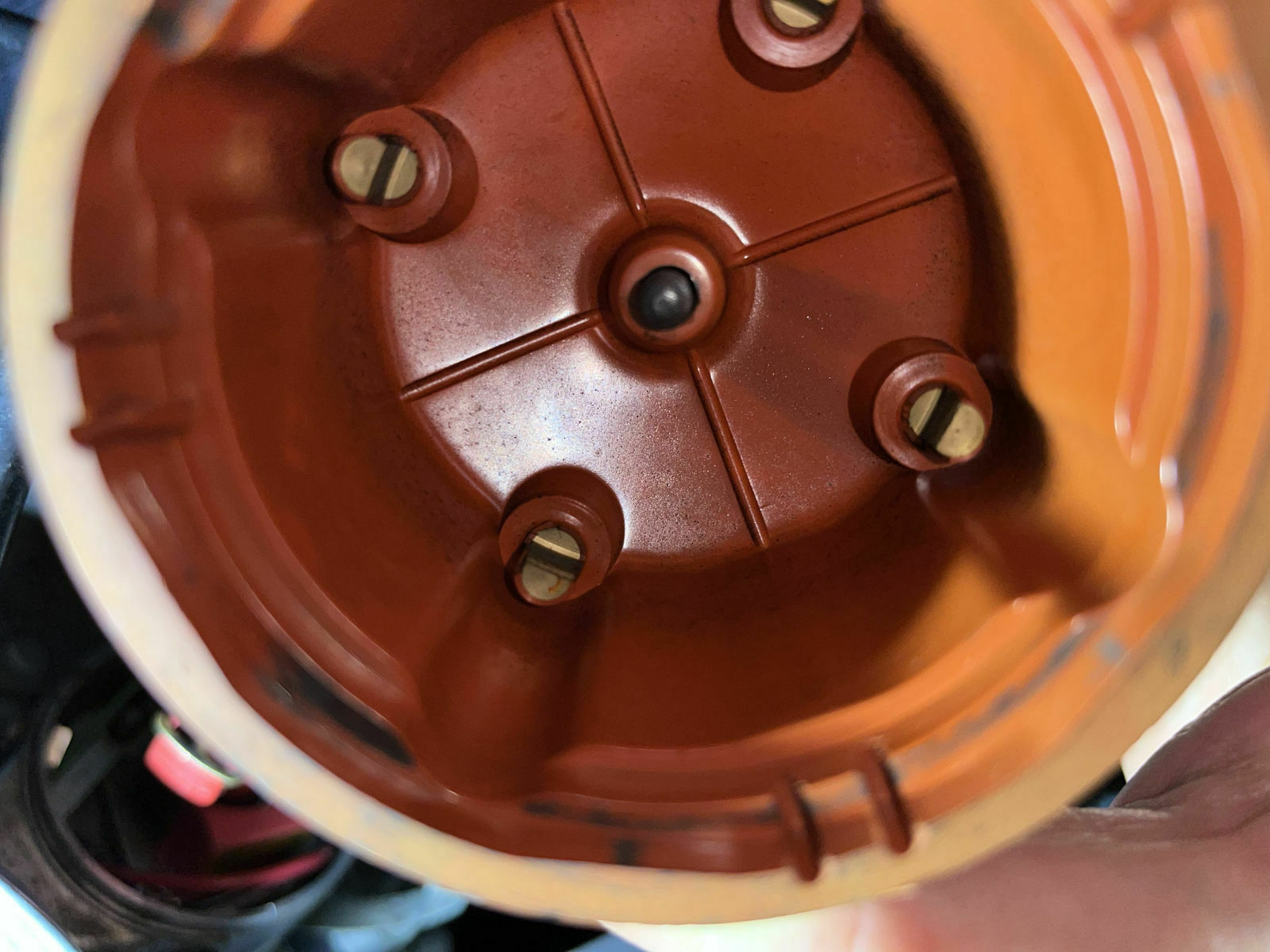 Käfer in Fahrt ausgegangen