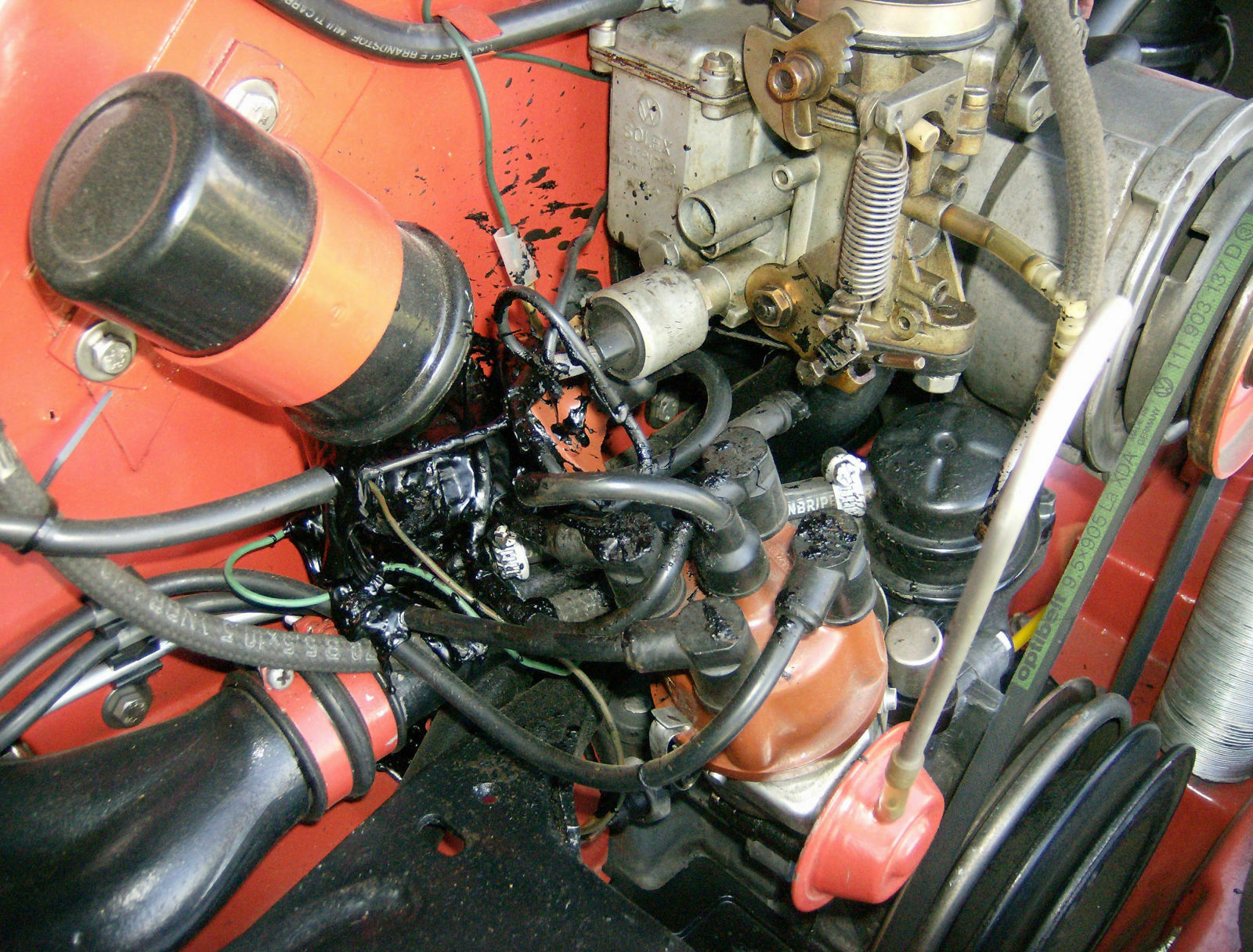 Käfer in Fahrt ausgegangen