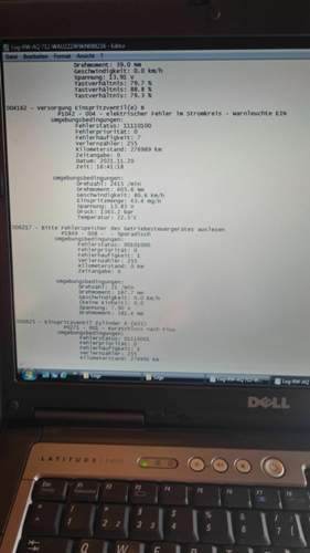 Danach lief er wieder 1.jpg