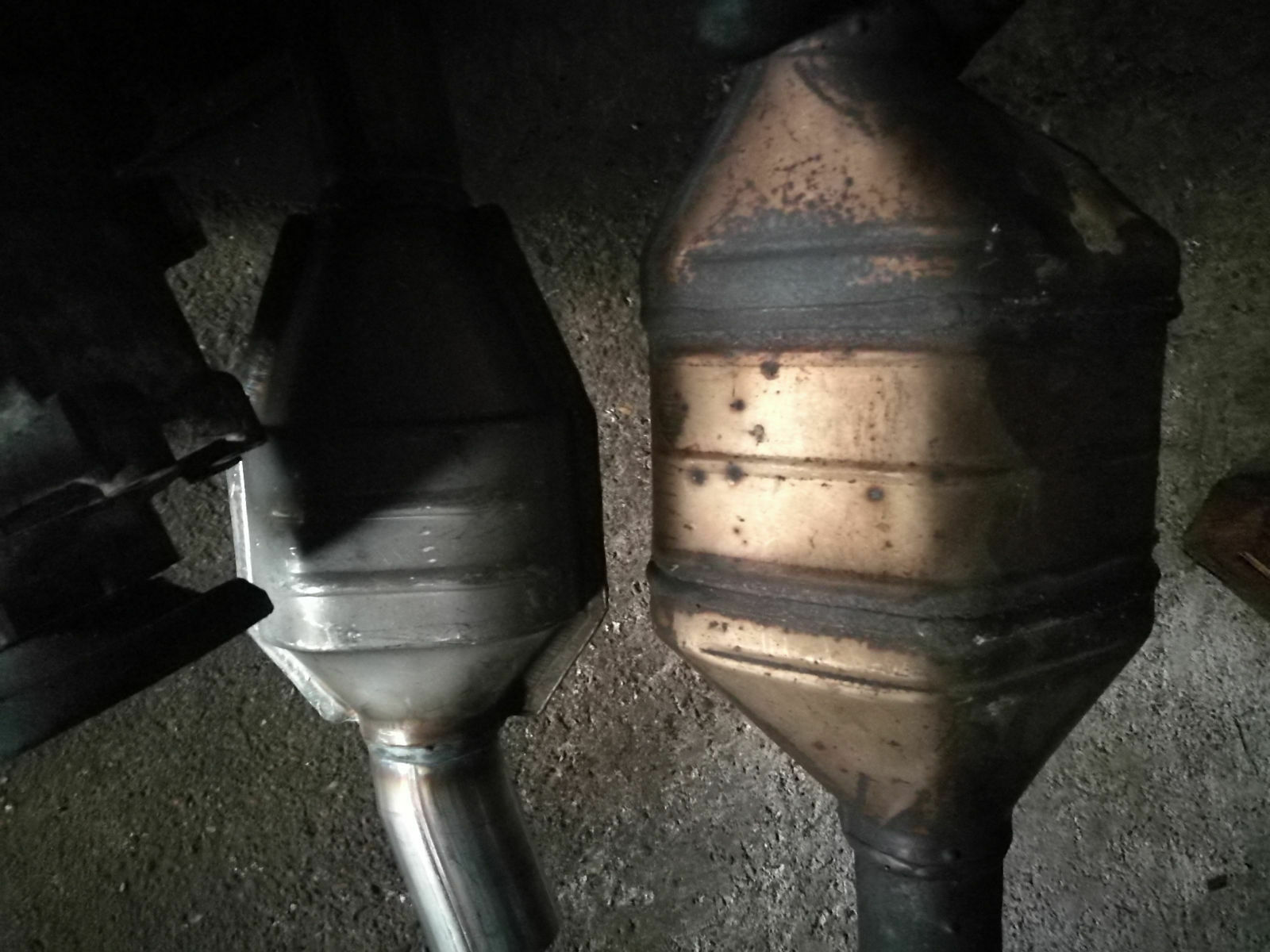 Neue Kats für den BBK