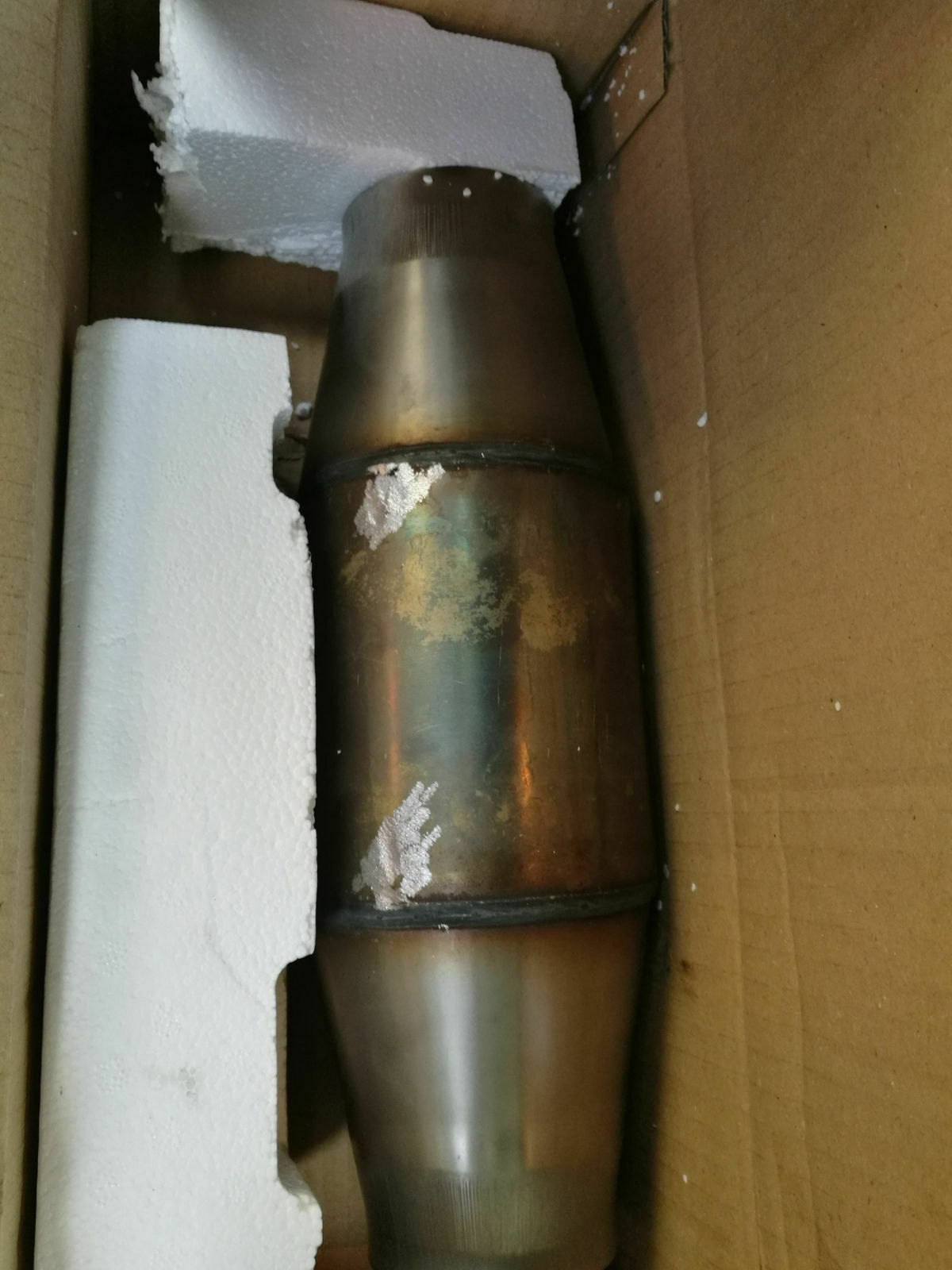 Neue Kats für den BBK