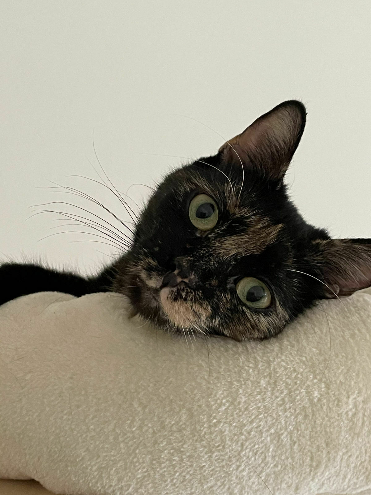 98c620ca-8f2d-4c81-a866-67feb2aa24fd