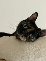 98c620ca-8f2d-4c81-a866-67feb2aa24fd