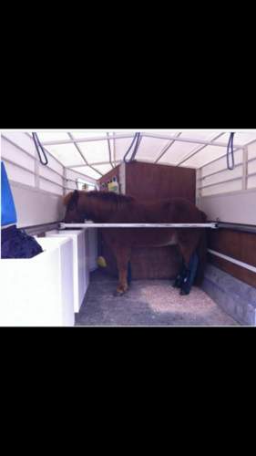 Platz für die ganze Familie :)