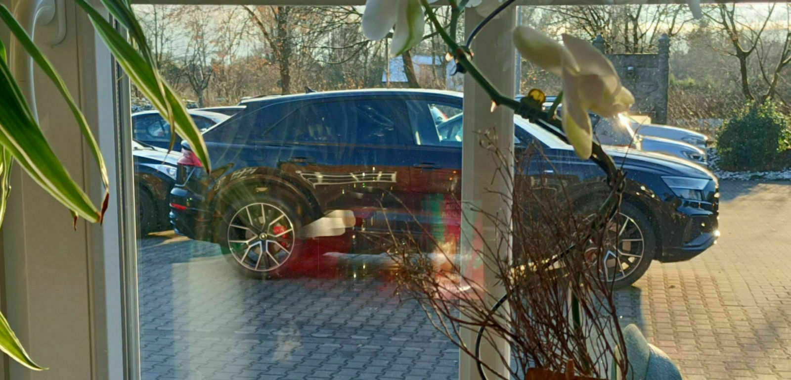 Audi Q8 4M 55 TFSI e quattro Test