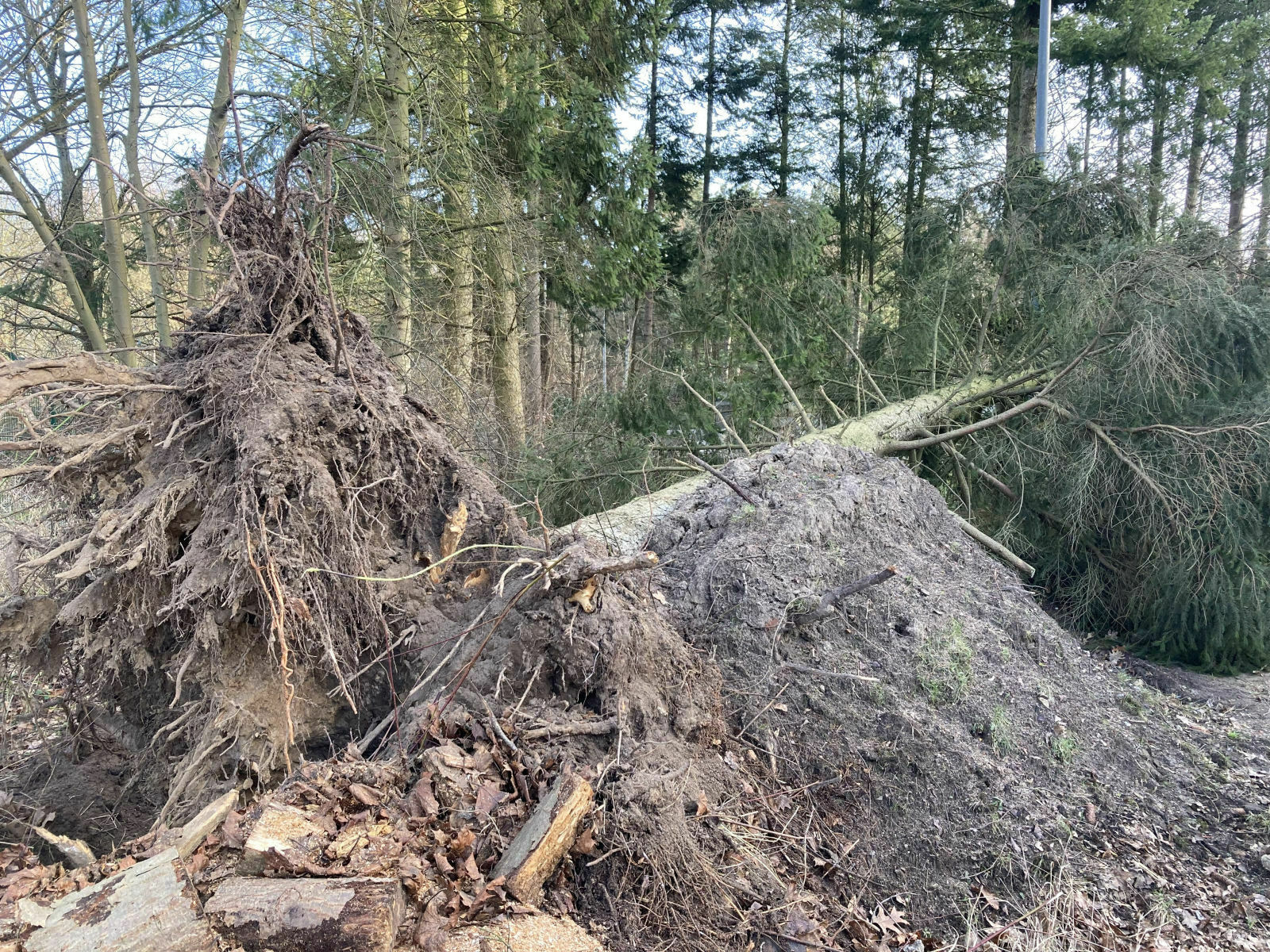 f48d39c9-ce6a-46e5-9370-50c9fcfea63e