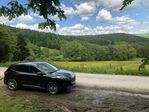 Fc74faf5-7f22-4343-ac93-cf198c033eaf