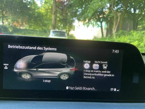 Displayanzeige während der DPF Reinigung