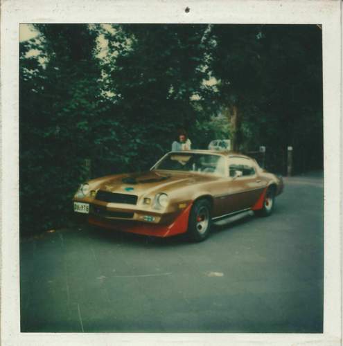 Camaro-iii