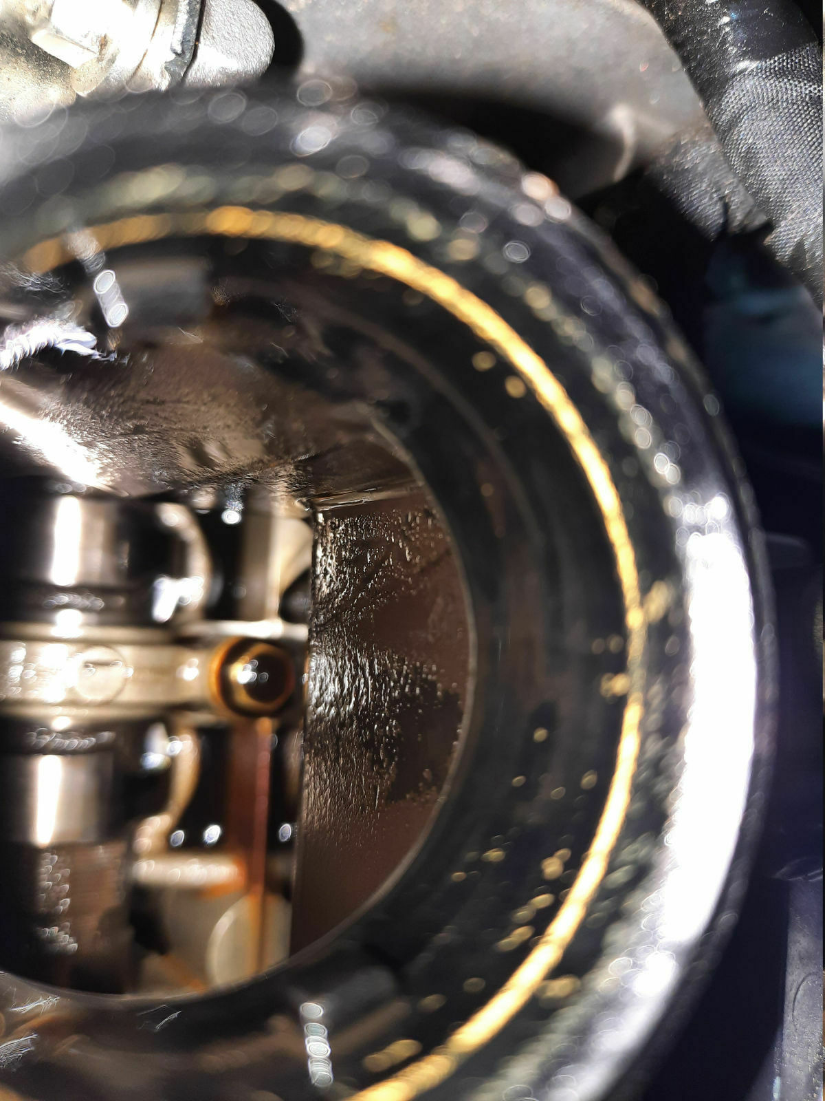 Diskussion bzgl. 1.5 Ecoboost Vierzylinder-Motorschäden (Haarriss, LSPI): Betreffend alle Modelle