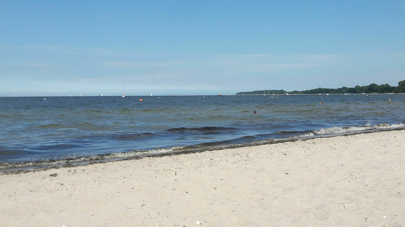 Img-20210704-wa0011