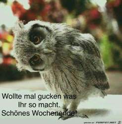 2080265e7c49aa64a2b2fe0331370867