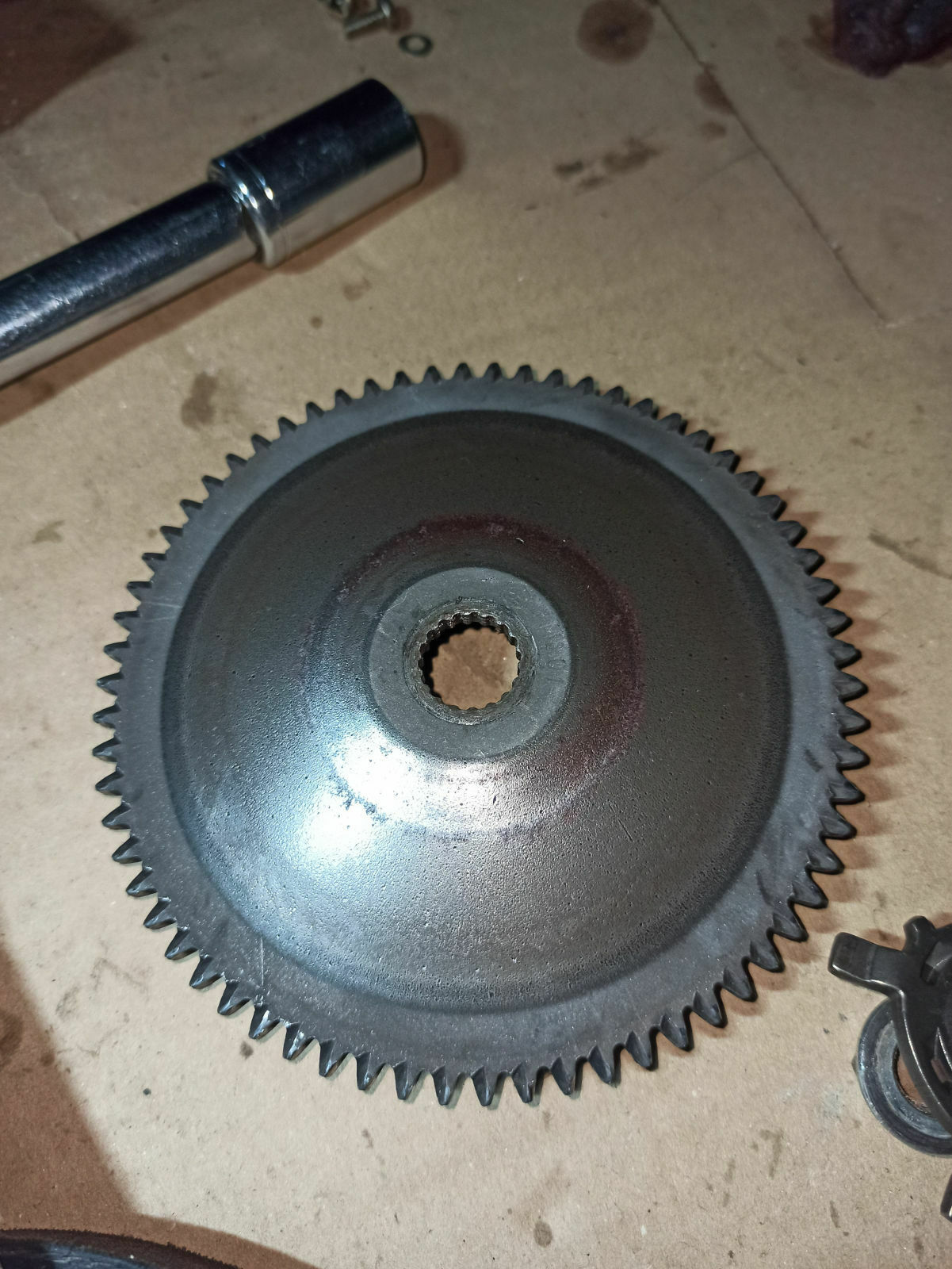 Roller quietscht sehr laut