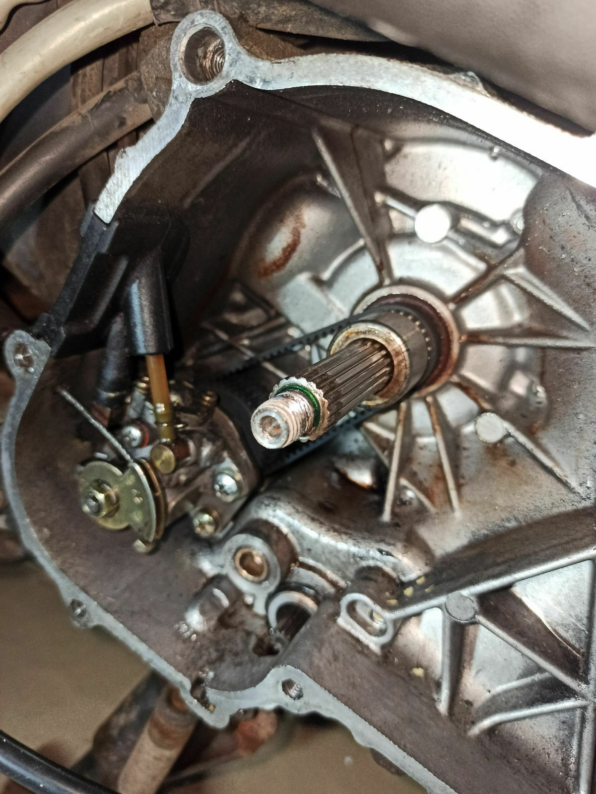 Roller quietscht sehr laut