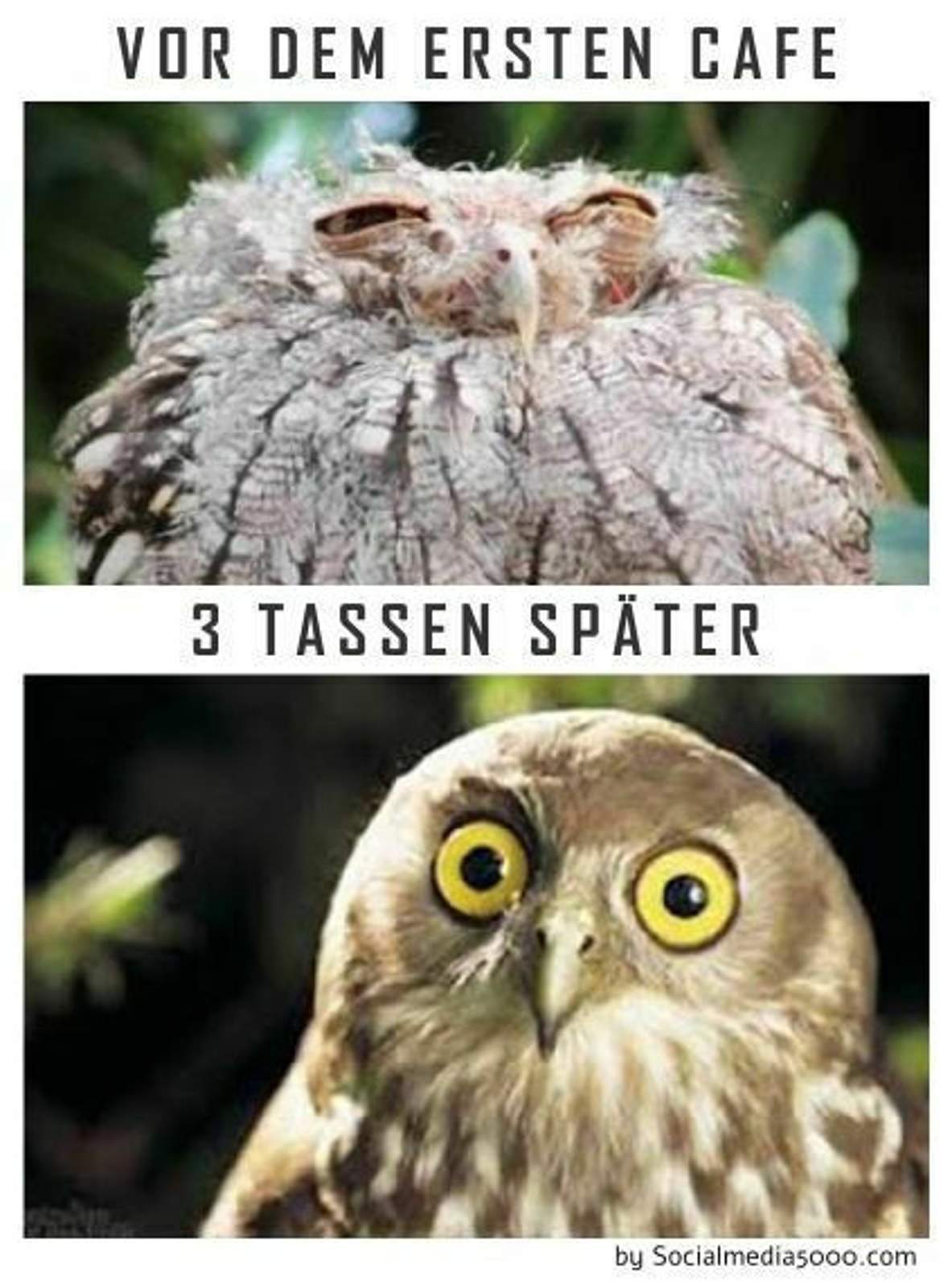 e5f1c9e7e344b10a1532f05f341bef56