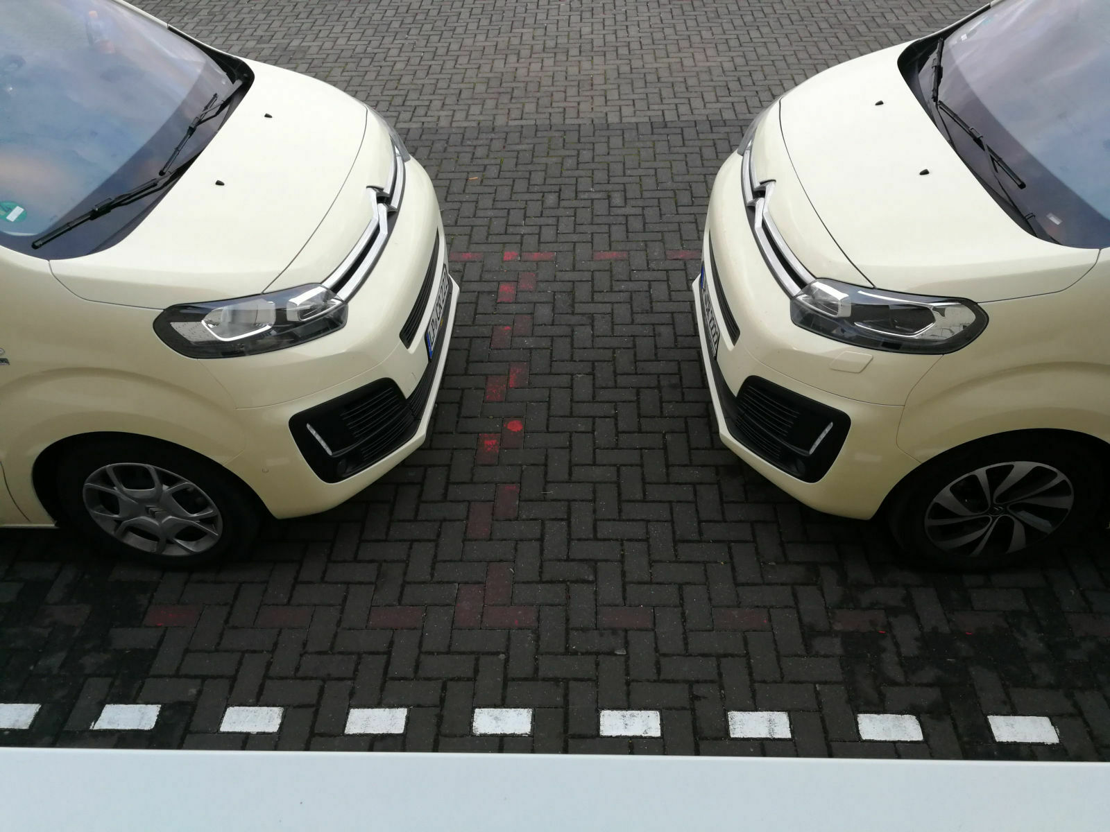 Eure Bilder für die Community