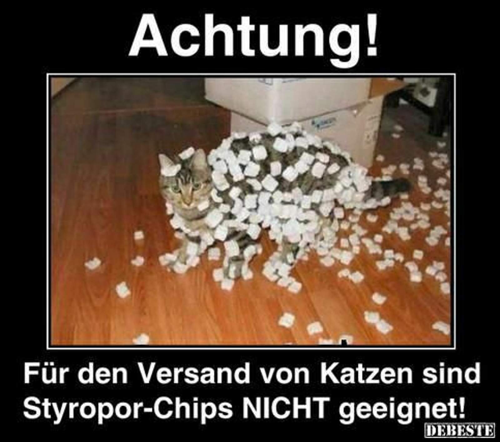 39ebdd770c4e491ae3a1ed186b712f894894