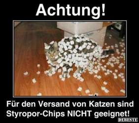 39ebdd770c4e491ae3a1ed186b712f894894