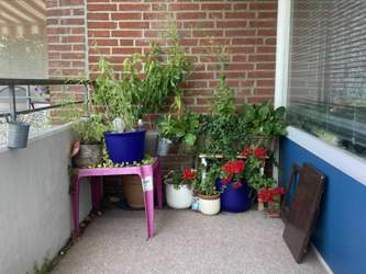 C103fe93-af00-46c0-9f57-35b9c54d8714