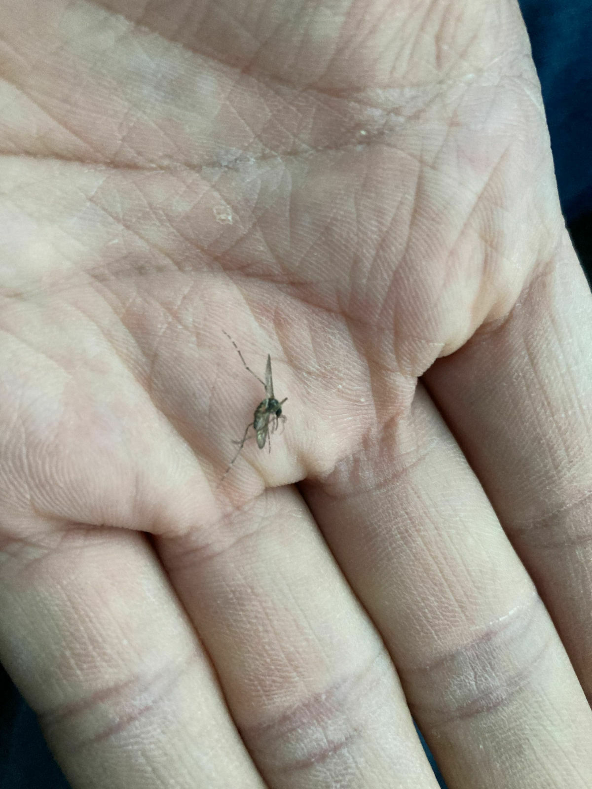 c252185a-e393-4f56-a7e4-4ca99a3a88f9