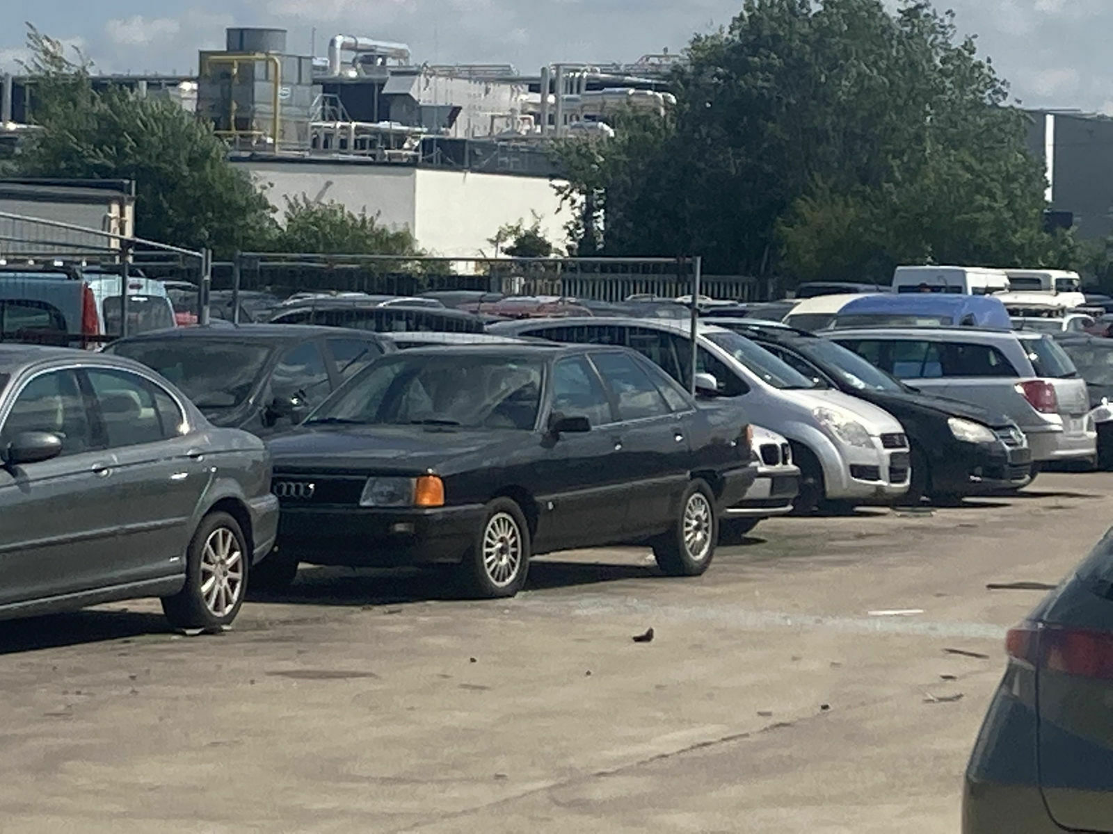 6081c188-2813-4b1d-858b-5d274a50b495