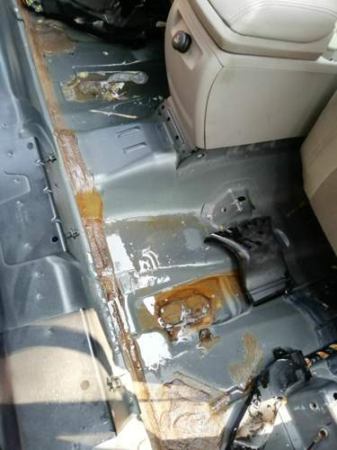 Der. Teppich war trocken, trotzdem war ein Teich auf dem Blech.jpg