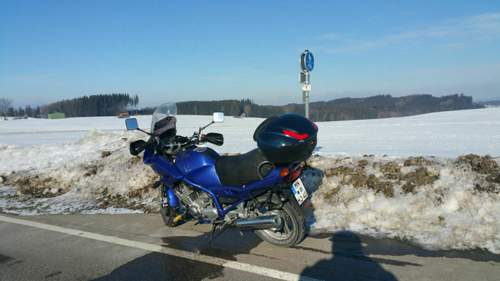 Diva fürs lange Bein