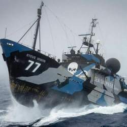 Artworks-562dgbdsn2xyv5q2-h98ajw-t500x500