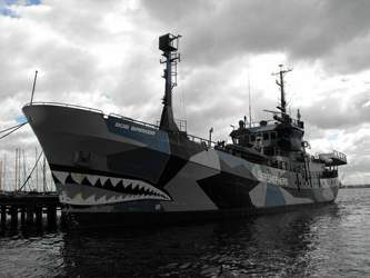 800px-sea-shepherd-bob-barker-seaworks