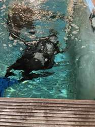 6ae4d58e-670d-4c56-a6df-42a1ebb07fb4