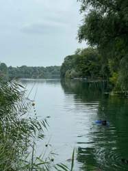 6b28fe5d-cfee-44d4-9430-baa7c61412e5